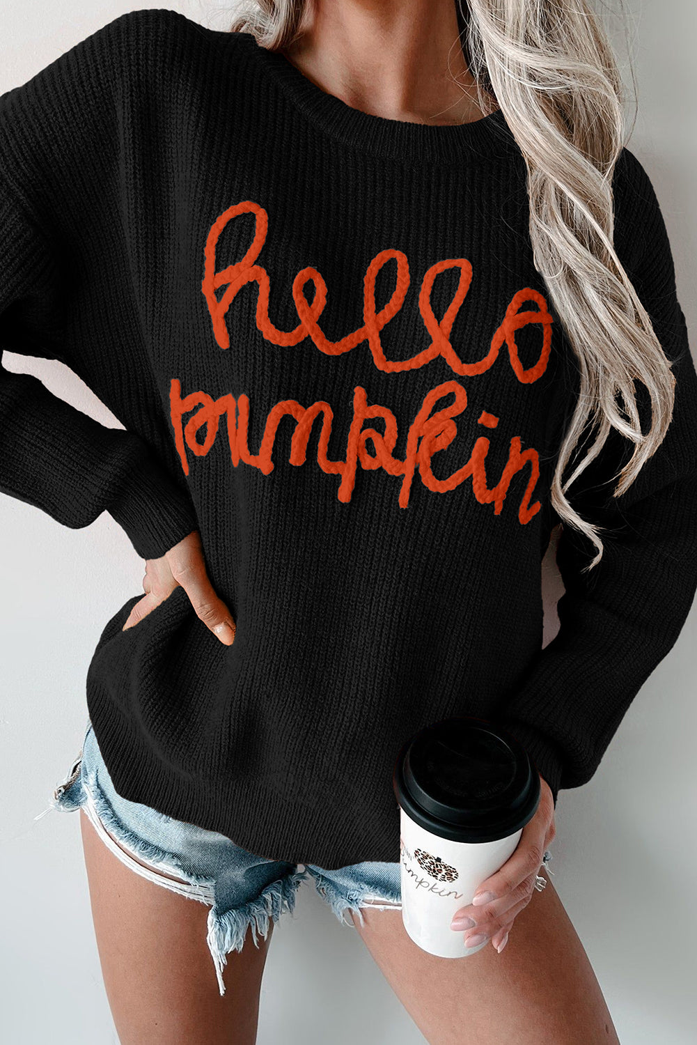 Flamingo Hello Pumpkin Graphic Sweater - Luxe Mod 