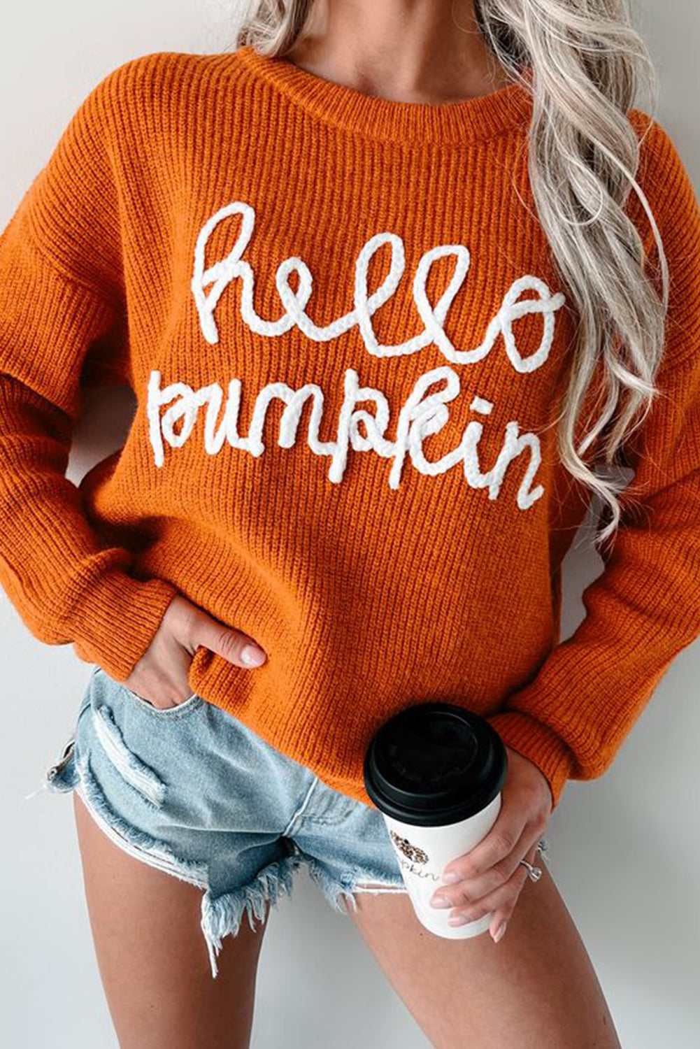 Flamingo Hello Pumpkin Graphic Sweater - Luxe Mod 