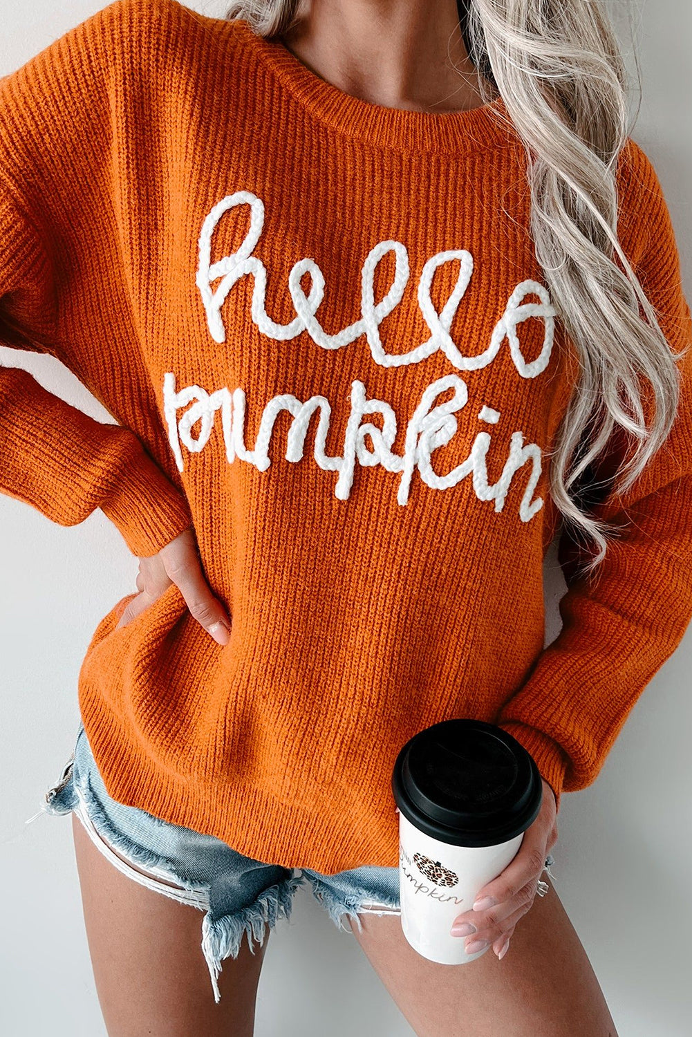 Flamingo Hello Pumpkin Graphic Sweater - Luxe Mod 