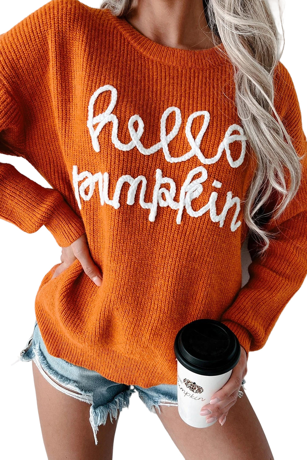 Flamingo Hello Pumpkin Graphic Sweater - Luxe Mod 