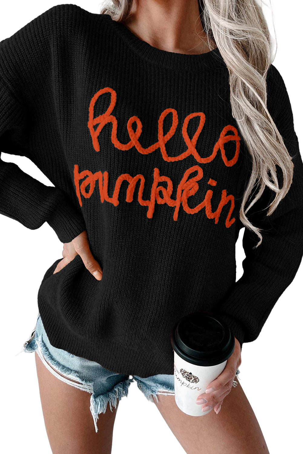 Flamingo Hello Pumpkin Graphic Sweater - Luxe Mod 